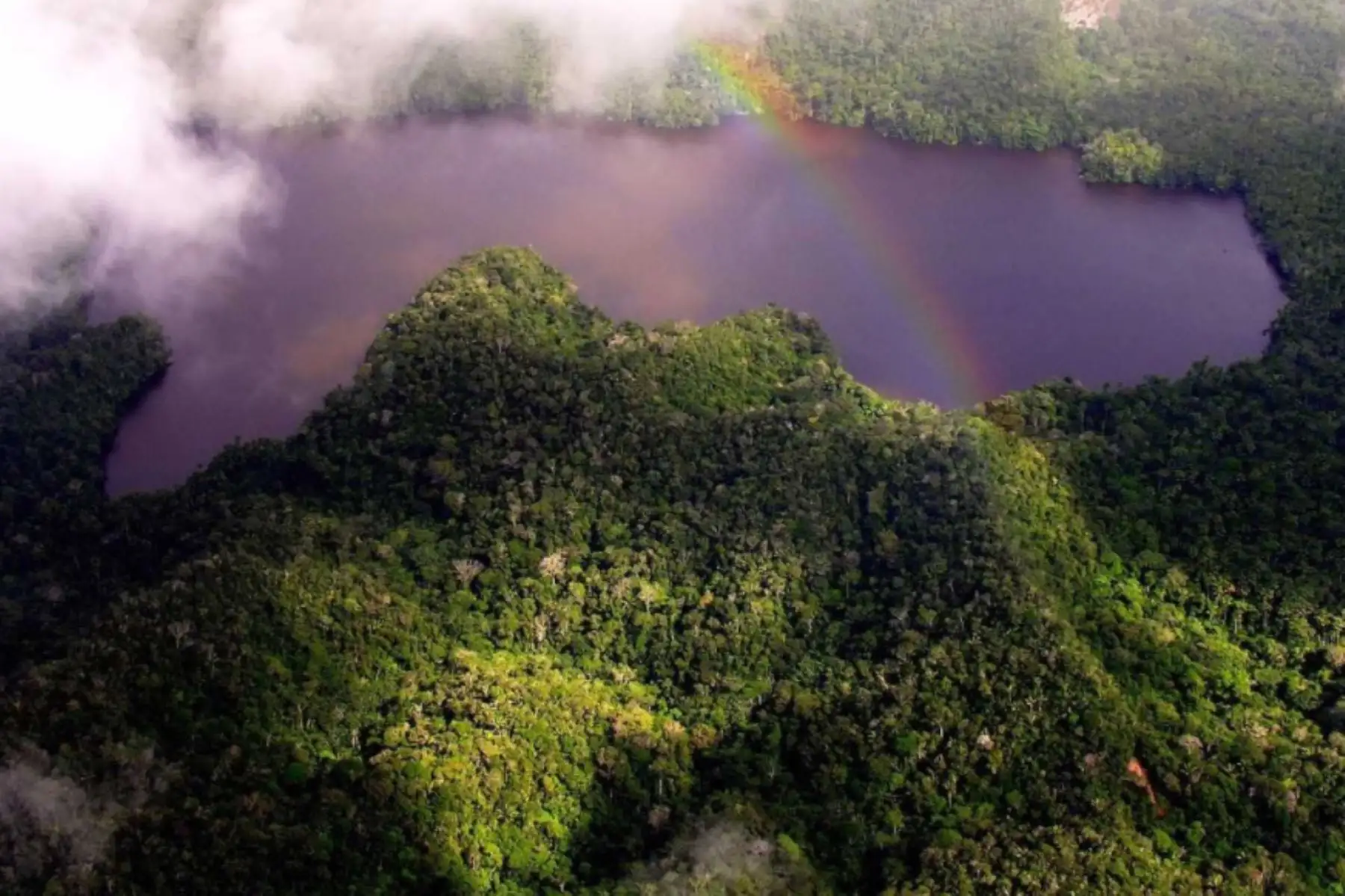 La Corporación Financiera de Desarrollo (Cofide), el Banco de Desarrollo del Perú, se sumó a la lista de instituciones comprometidas con la conservación de la Amazonía, a través de la adquisición de créditos de carbono provenientes del Proyecto REDD+ Cordillera Azul para la conservación del área natural protegida en las regiones Loreto, San Martín, Huánuco y Ucayali.
