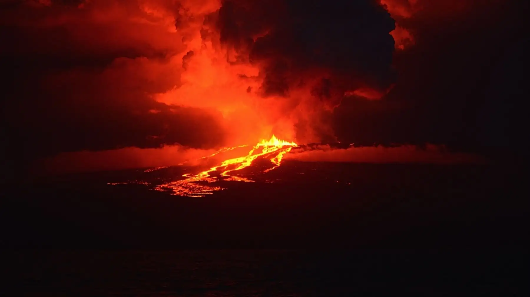 Imagen de folleto publicado por el Parque Nacional Galápagos que muestra la erupción del volcán Wolf en la isla Isabela, Galápagos, Ecuador.Foto: AFP