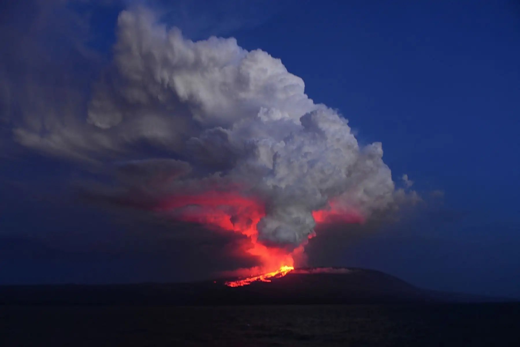 Imagen de folleto publicado por el Parque Nacional Galápagos que muestra la erupción del volcán Wolf en la isla Isabela, Galápagos, Ecuador.Foto: AFP