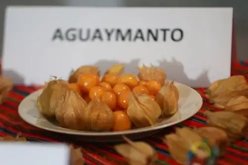 Una gama de oferta exportable de productos orgánicos certificados como quinua, tarwi, mango, castaña, banano, café, cacao, entre otros procedentes de varias regiones, representa al Perú en la feria Biofach 2019, una de las más importantes del mundo ecológico, que se realizará del 13 al 16 de febrero en la ciudad de Núremberg, Alemania. ANDINA/Vidal Tarqui