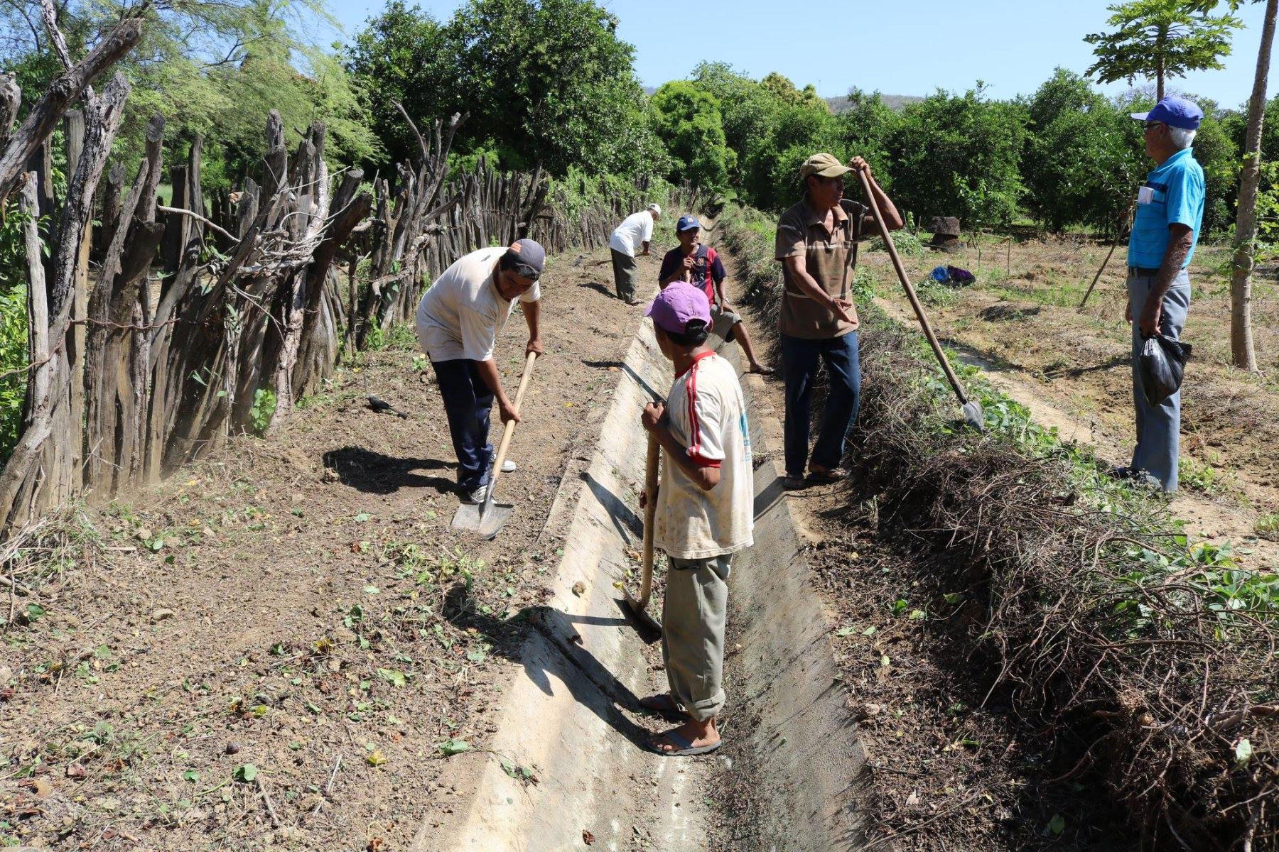 Ejecutarán proyectos de riego en distritos de Áncash y Huánuco mediante el mecanismo de obras por impuestos. ANDINA/Difusión
