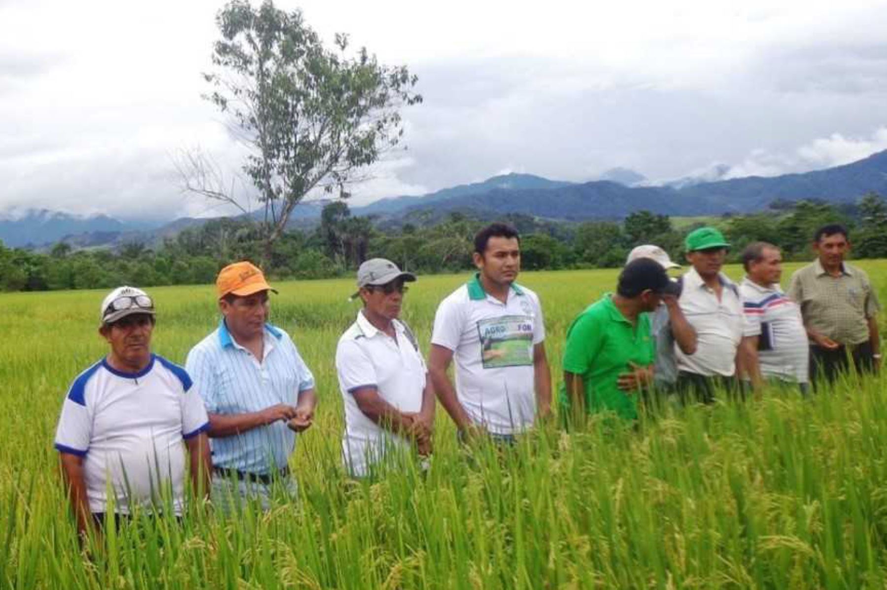 Instituciones públicas y privadas participaron en un taller sobre evaluación y clasificación de tierras en la ciudad de Tarapoto, en donde se destacó la importancia de conocer sobre el ordenamiento territorial agrario de la región San Martín y la zonificación agroecológica.