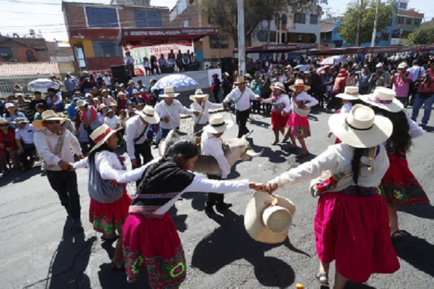 Todo va quedando listo para el Décimo Pasacalle Regional 2018 a realizarse este domingo 5 de agosto, con motivo del 478° aniversario de fundación española de la ciudad de Arequipa, en la que se espera la participación de más de 2,000 pobladores de las ocho provincias, quienes bailarán las danzas típicas de su región. ANDINA/Difusión
