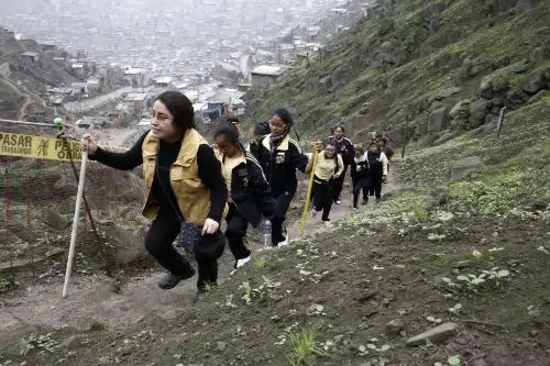 Docentes y estudiantes salvaguardan este pulmón limeño a punto de ser depredado por la explosión demográfica. ANDINA/Melina Mejía