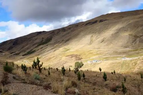 Más de 100 hectáreas de tierras degradadas y en proceso de erosión ubicadas en la comunidad de Mallma, en el distrito cusqueño de Ocongate, fueron reforestadas con pinos, queñuas y otras especies plantadas por los propios vecinos, quienes también colaboraron en la construcción de zanjas de infiltración para recuperar la humedad del suelo de la zona.