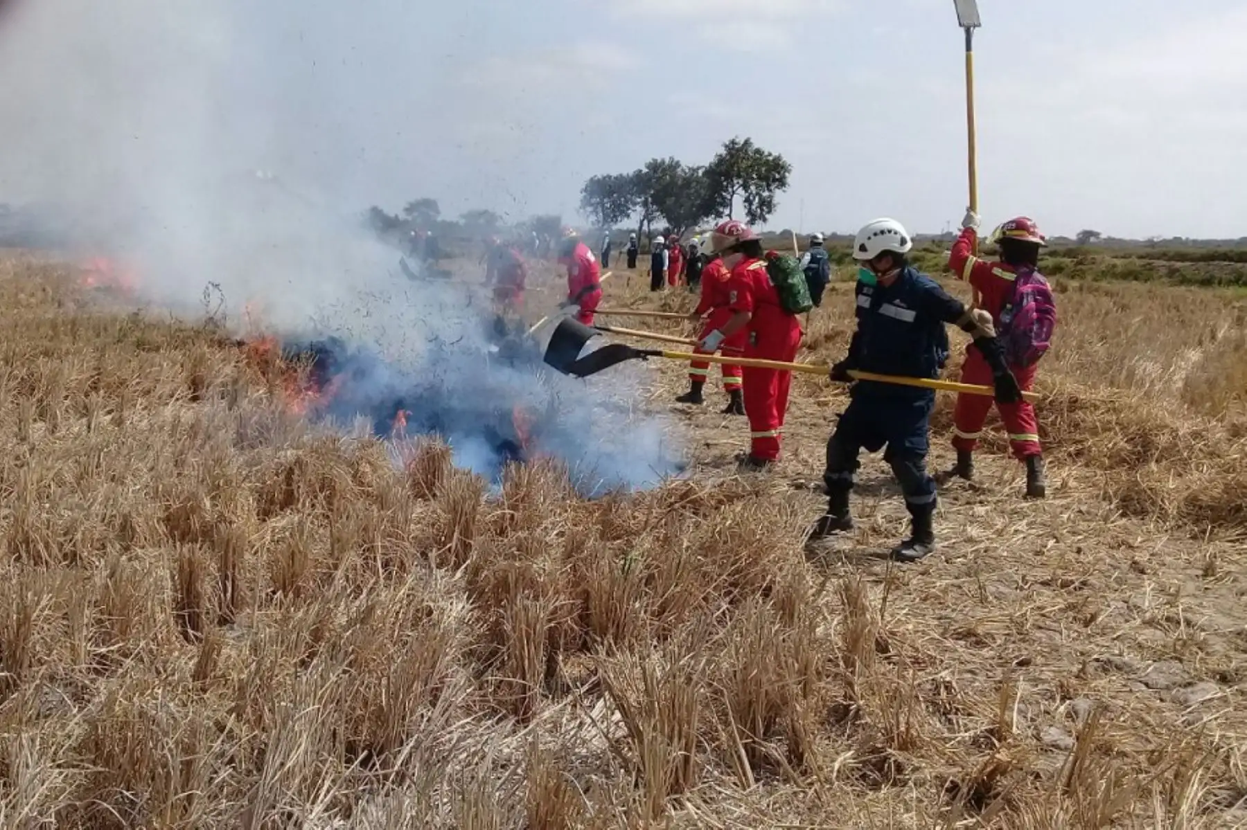El Instituto Nacional de Defensa Civil (Indeci) informó que el incendio forestal que se presentó en el distrito de Huayo, provincia de Pataz, región La Libertad, fue extinguido totalmente. El evento produjo una afectación de 60 hectáreas de cobertura natural, pero no ocasionó daños a la salud de las personas. ANDINA/Difusión
