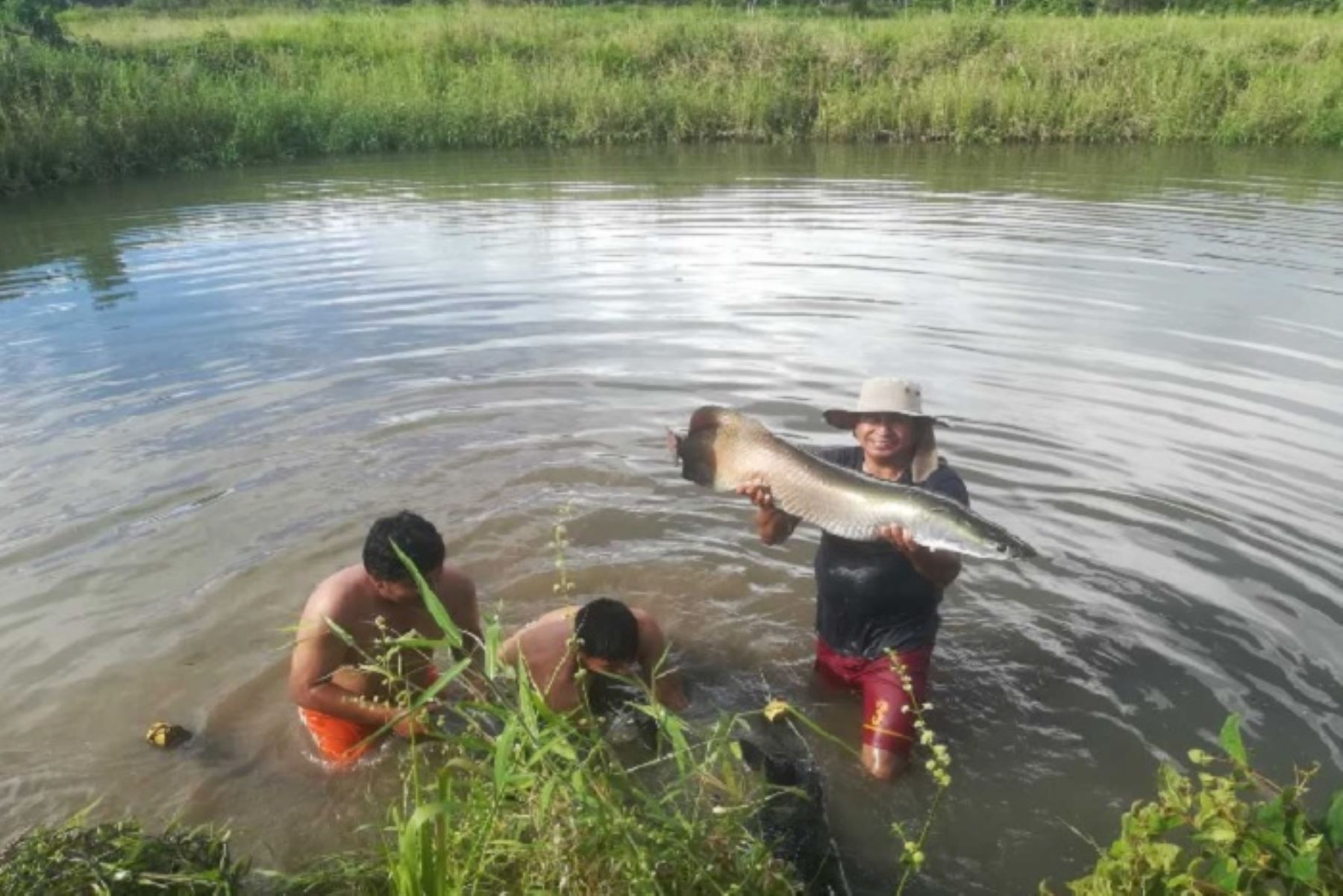 Huánuco: emprendedores de Noa Jayatai se capacitan en crianza de peces amazónicos