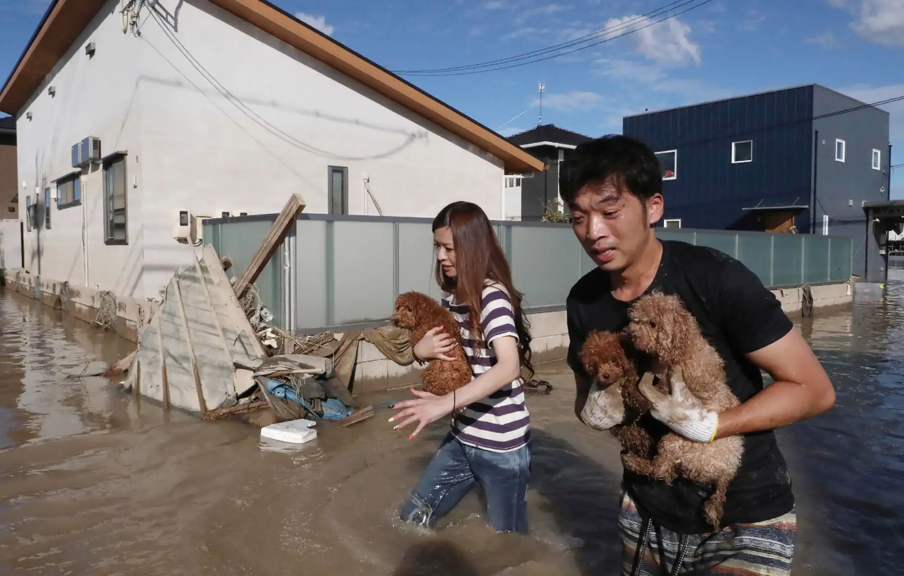 Los residentes rescatan perros del área inundada en Kurashiki, prefectura de Okayama el 8 de julio de 2018.
La cifra de muertos por las lluvias récord que han devastado partes de Japón aumentó el domingo a por lo menos 57, dijeron funcionarios, mientras los trabajadores de rescate y las tropas luchaban en el barro y el agua para salvar vidas. / AFP