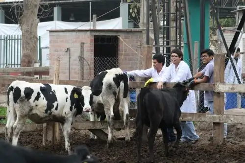 ANDINA/Héctor Vinces