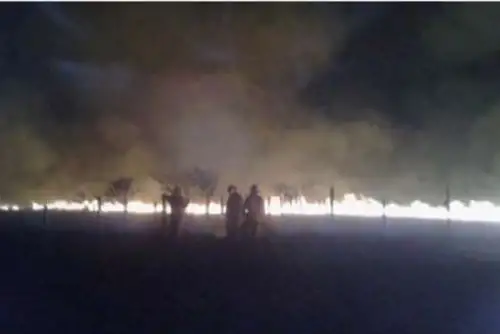 De acuerdo al Cuerpo de Bomberos, el siniestro se originó debido a la quema de basura por parte de pobladores de la zona en un área cercana a 5 hectáreas.