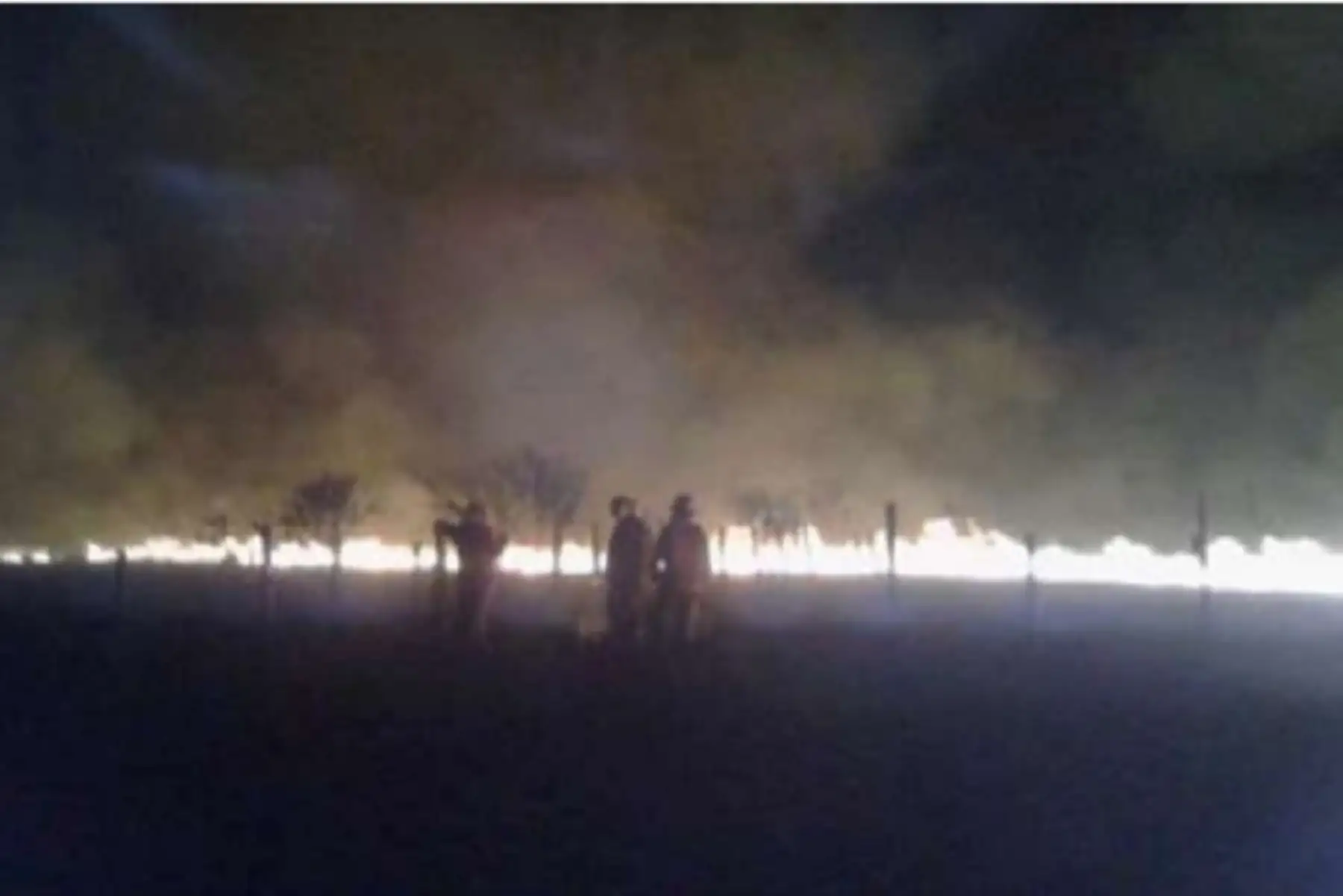 De acuerdo al Cuerpo de Bomberos, el siniestro se originó debido a la quema de basura por parte de pobladores de la zona en un área cercana a 5 hectáreas.