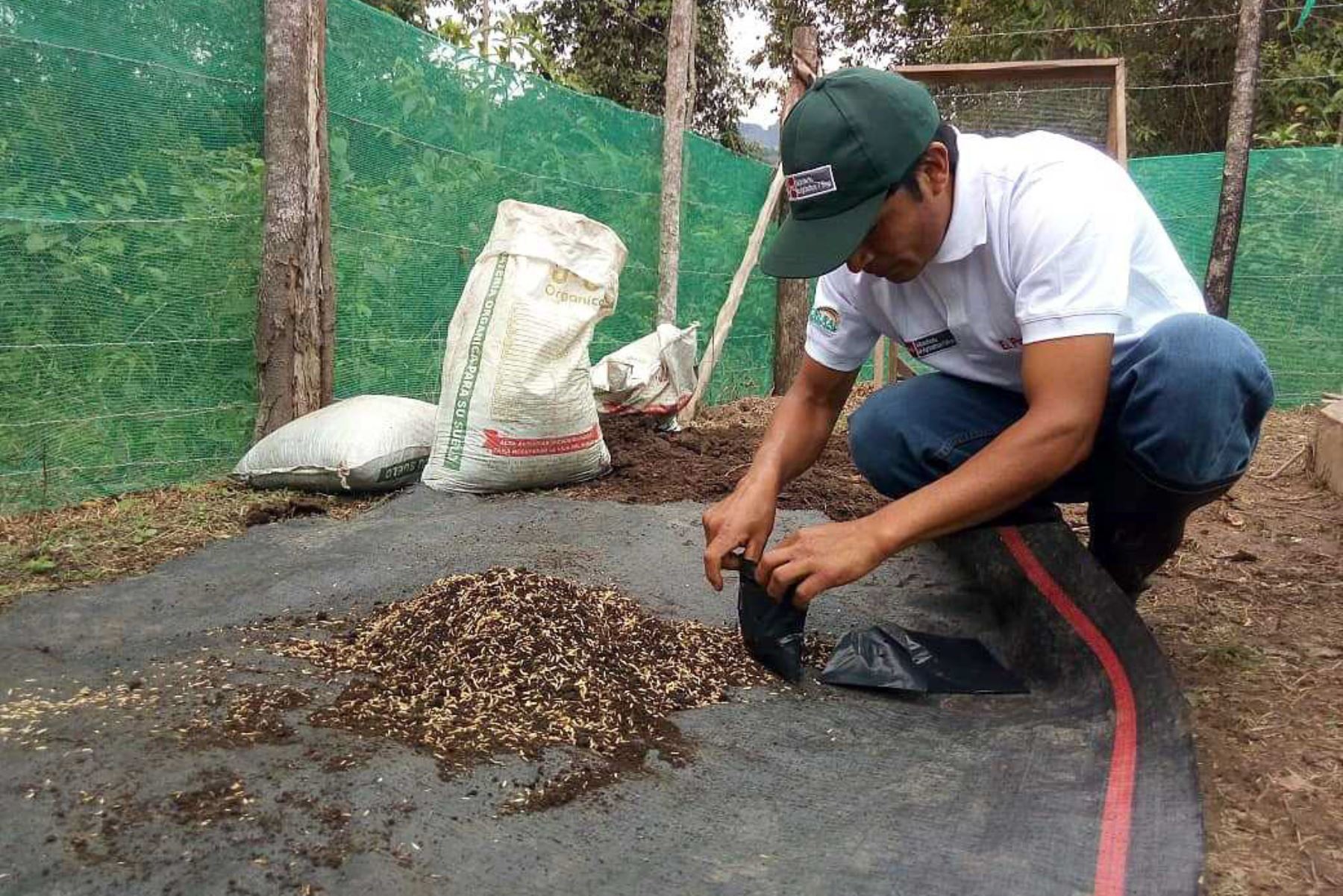 Más de 100 productores de café de la región San Martín, vienen siendo evaluados por el Ministerio de Agricultura y Riego, a través de Agro Rural, la única entidad del sector agricultura acreditada por Sineace para otorgar certificaciones como talentos rurales, en esta oportunidad, en la competencia de Productor de Plantones de Café y Especies Asociadas.