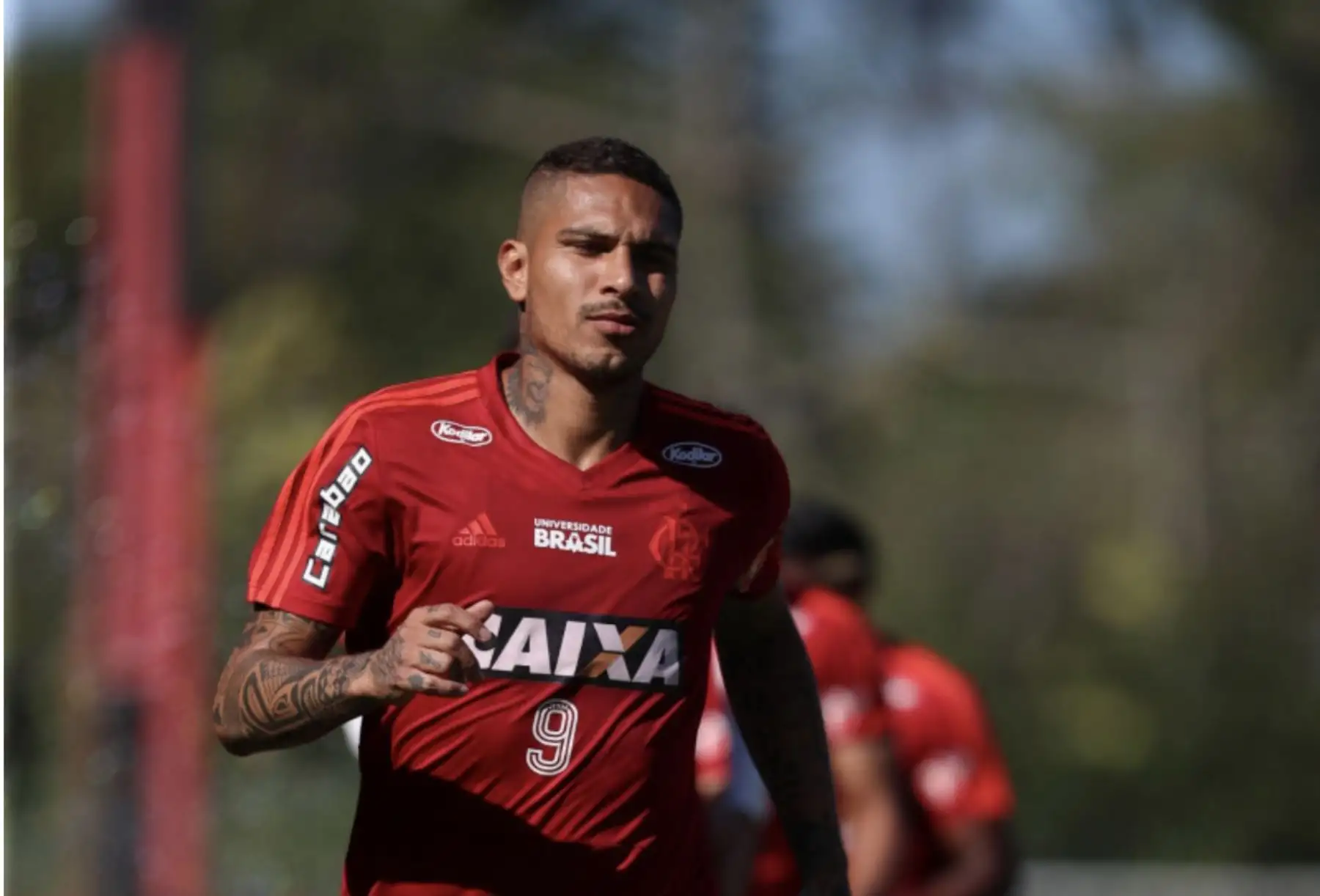El delantero peruano Paolo Guerrero puede jugar para su club brasileño Flamengo, indicó el Tribunal Federal de Suiza al considerar que "el efecto suspensivo" del recurso interpuesto por el jugador contra su suspensión por un caso de dopaje aún es "válido".Foto: Flamengo