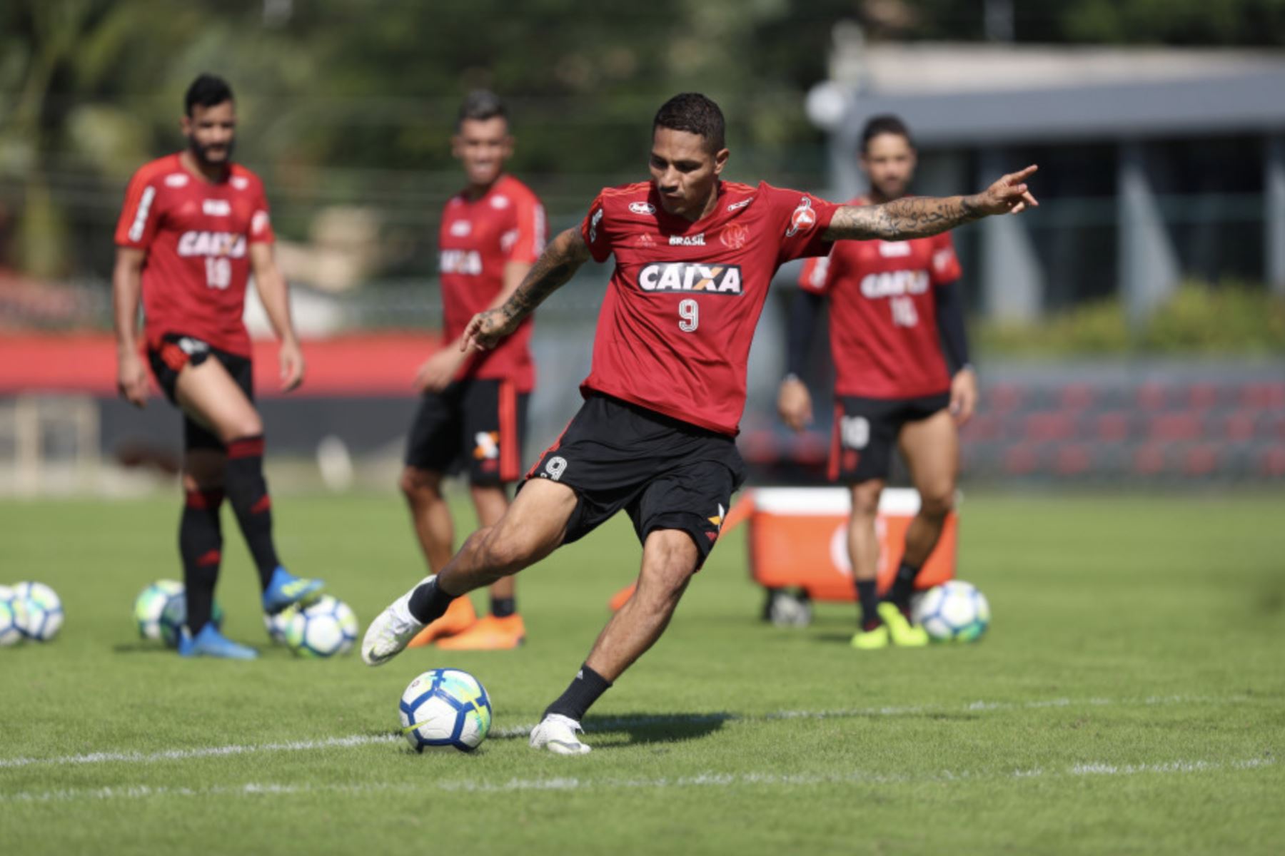 El delantero peruano Paolo Guerrero puede jugar para su club brasileño Flamengo, indicó el Tribunal Federal de Suiza al considerar que "el efecto suspensivo" del recurso interpuesto por el jugador contra su suspensión por un caso de dopaje aún es "válido".Foto: Flamengo