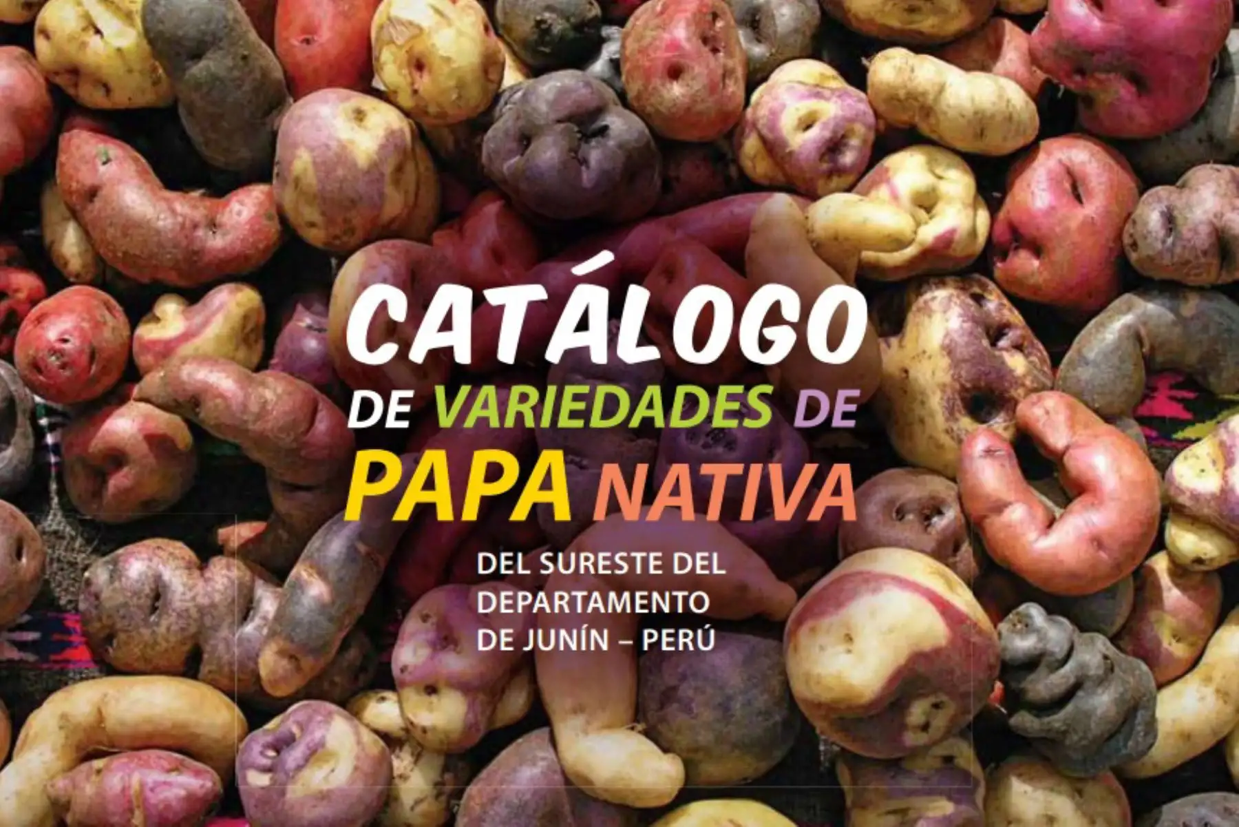 El Ministerio de Agricultura y Riego (Minagri) entregó a los productores de la región Junín el catalogo “Variedades de la papa nativa” que contiene referencias de la producción agrícola de las comunidades campesinas de la zona y destaca la amplia biodiversidad de la papa nativa y sus bondades nutricionales en la seguridad alimentaria del país.