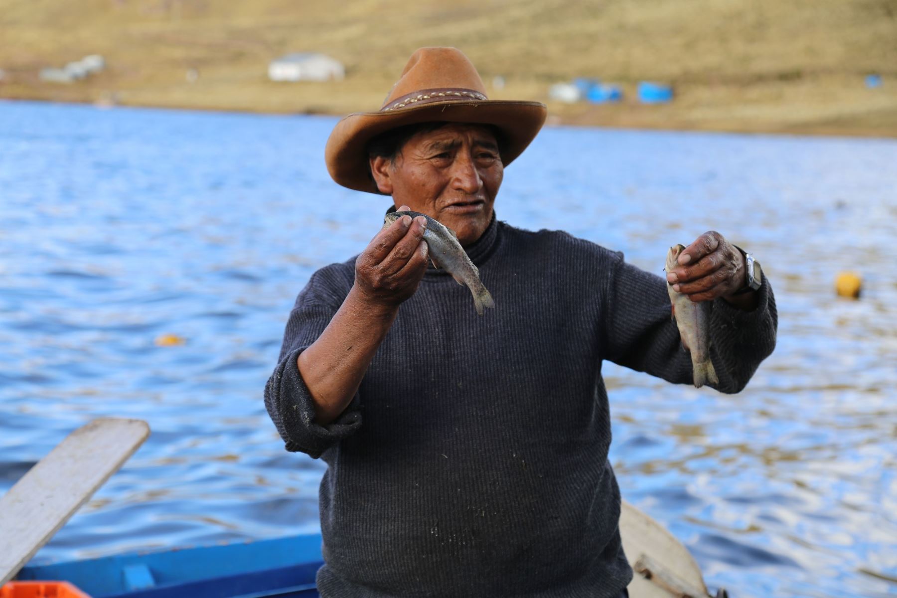 Con 3 millones de alevines de pejerrey repoblarán lago Titicaca, en Puno. ANDINA