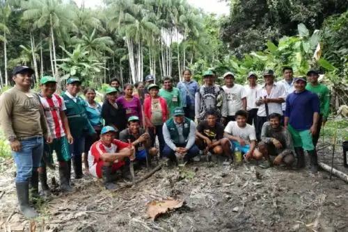 Loreto: reconocerán a agricultores como expertos en control de plagas del plátano