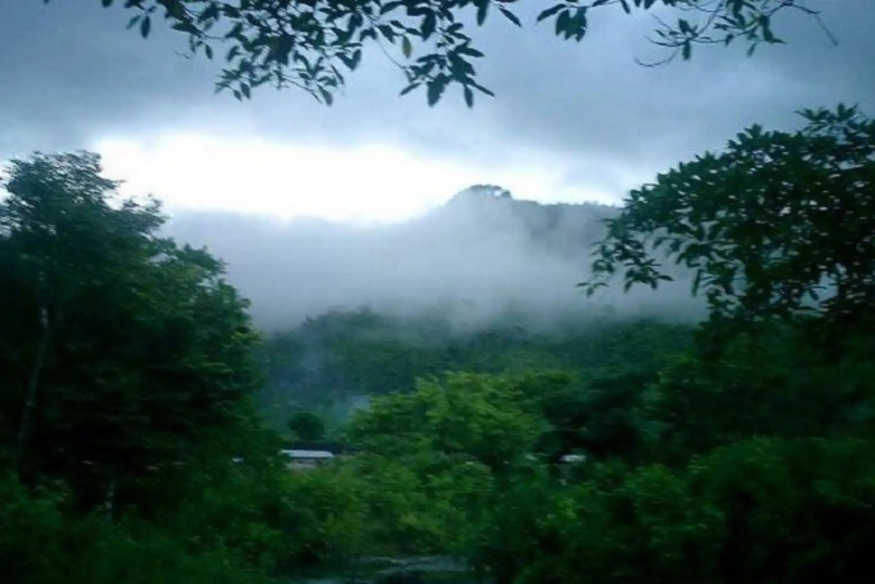 En el Otoño, estacjón de transición del verano al invierno que iniciará a las 16:58 horas de hoy, se dan las primeras manifestaciones del friaje en la Selva y de las heladas en la Sierra, informó la experta del Servicio Nacional de Meteorología e Hidrología (Senamhi), Raquel Loayza. ANDINA/Difusión