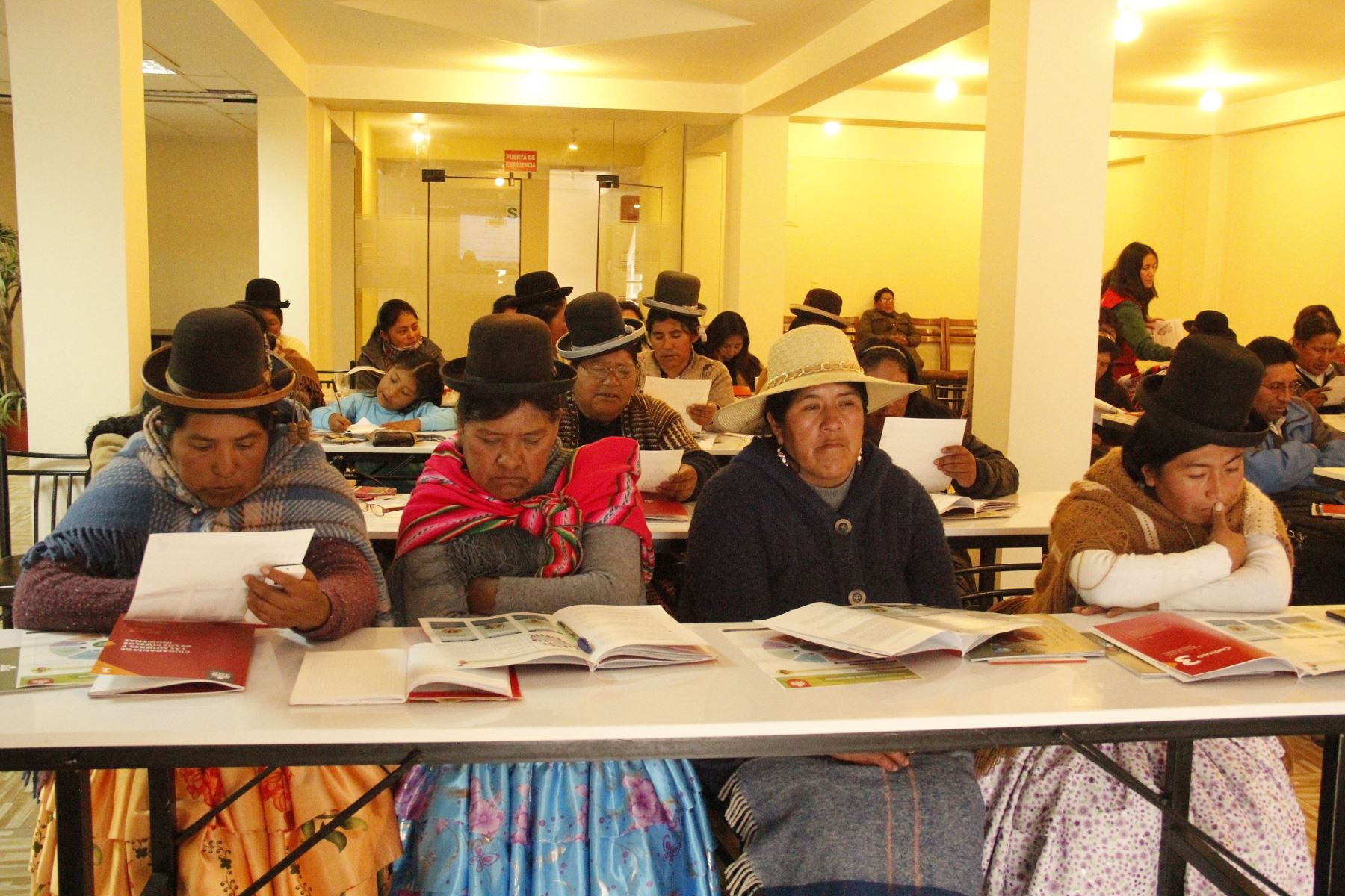 JNE promueve participación y representación política para pueblos originarios en Puno. ANDINA