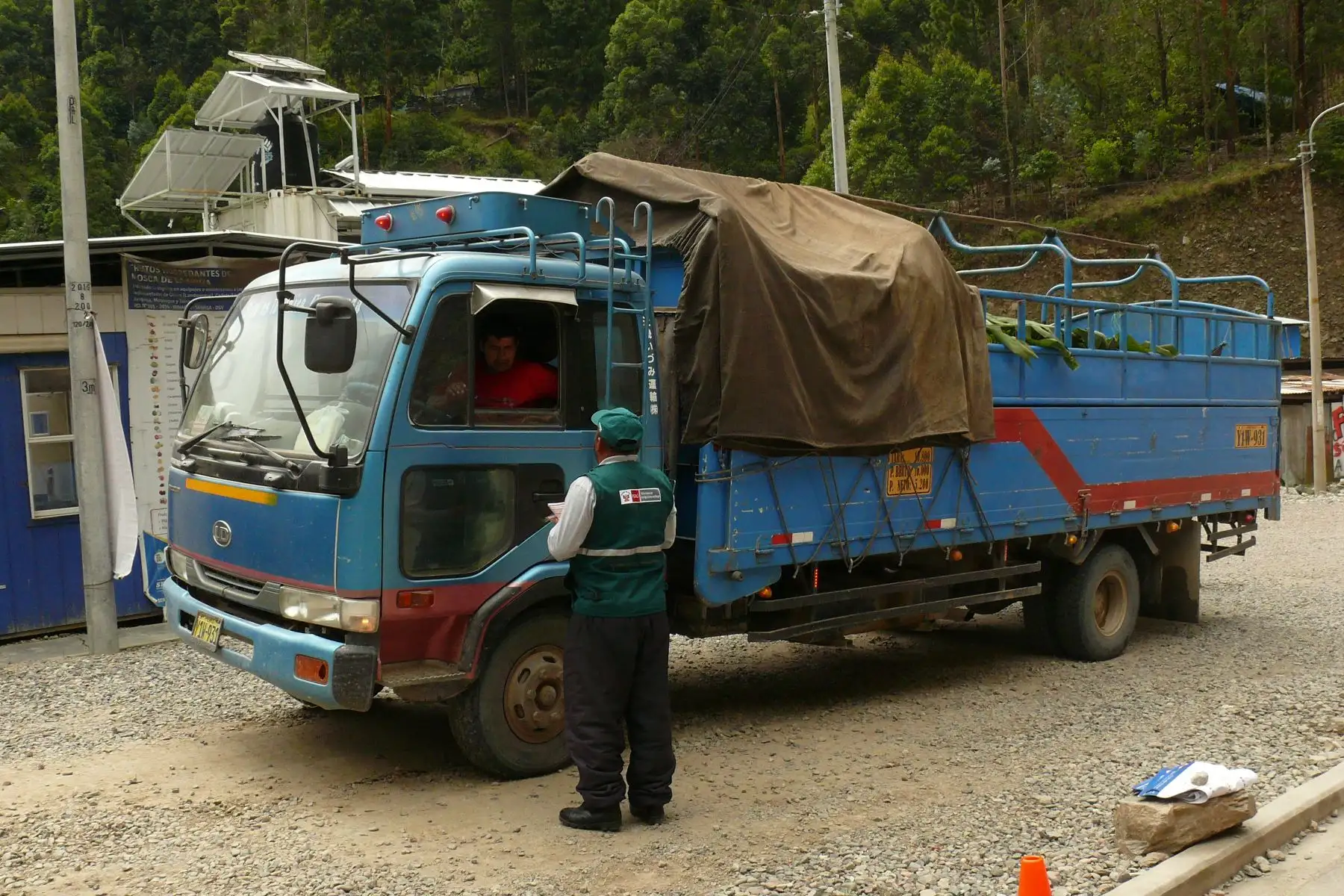 Perú refuerza controles para evitar ingreso de hongo letal para el banano. ANDINA/Difusión