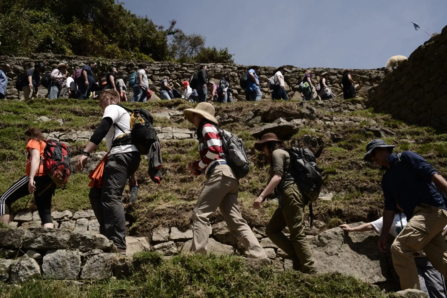 Esta foto tomada el 27 de agosto de 2016 muestra a los visitantes admirando las ruinas de Machu Picchu, que se encuentra a 2,430 metros sobre el nivel del mar.
Incrustado en un paisaje espectacular en el punto de encuentro entre los Andes peruanos y la cuenca del Amazonas, el Santuario Histórico de Machu Picchu es uno de los mayores logros artísticos, arquitectónicos y de uso de la tierra en cualquier lugar y el legado tangible más significativo de la civilización Inca. / AFP
