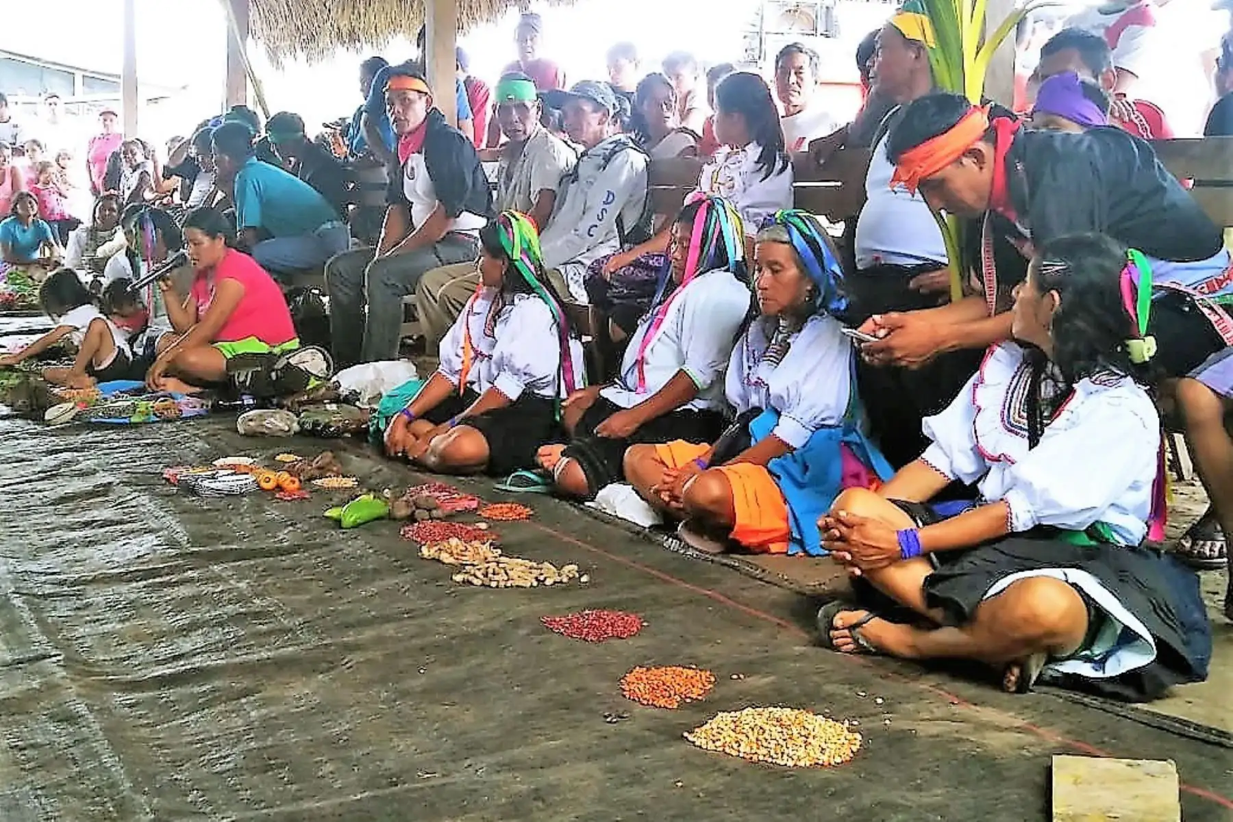 Indígenas Kewcha promueven en feria cultivo de semillas orgánicas. ANDINA