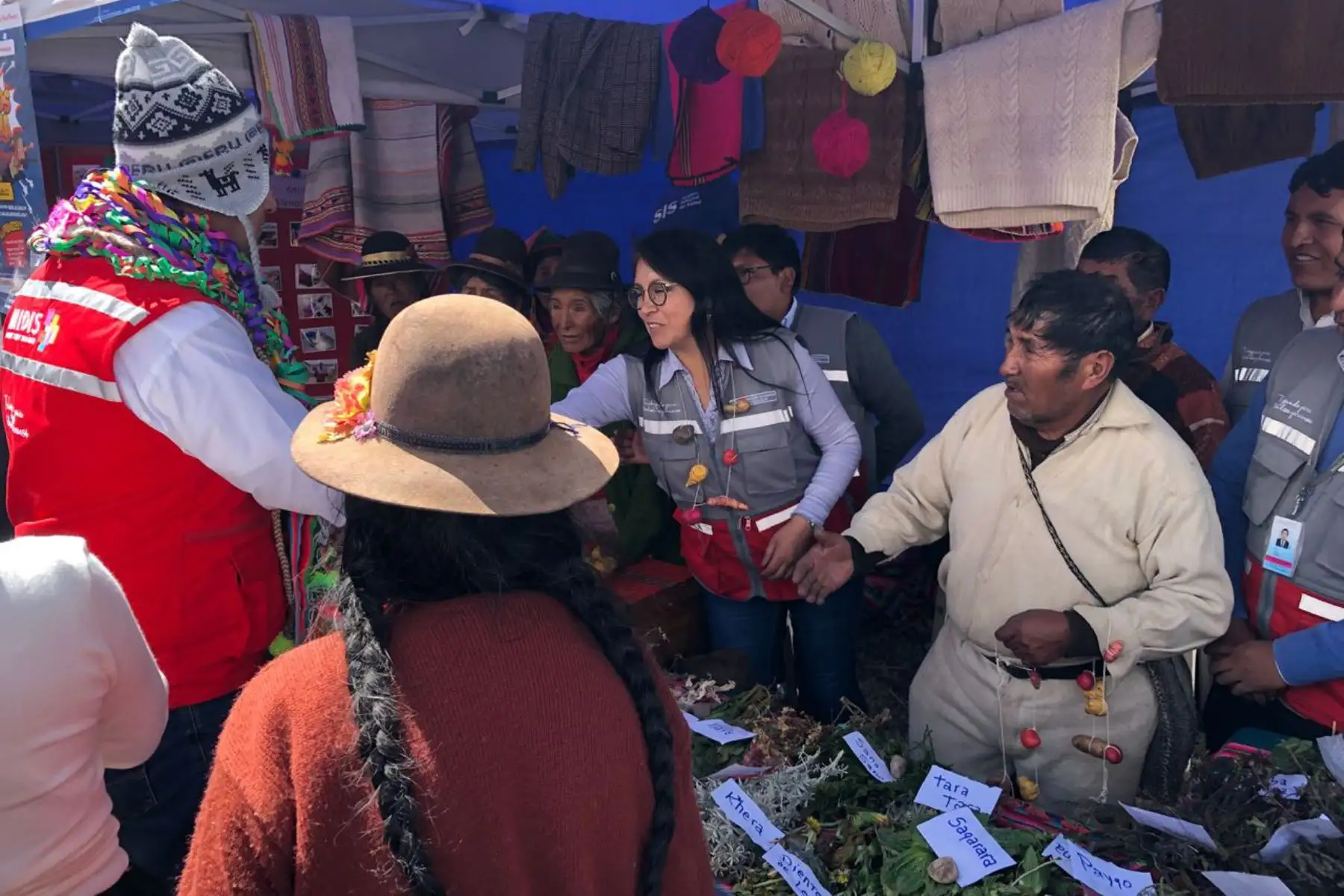 Con caravana multisectorial, Midis promueve la lucha contra la anemia en zonas rurales de Puno. ANDINA/Difusión