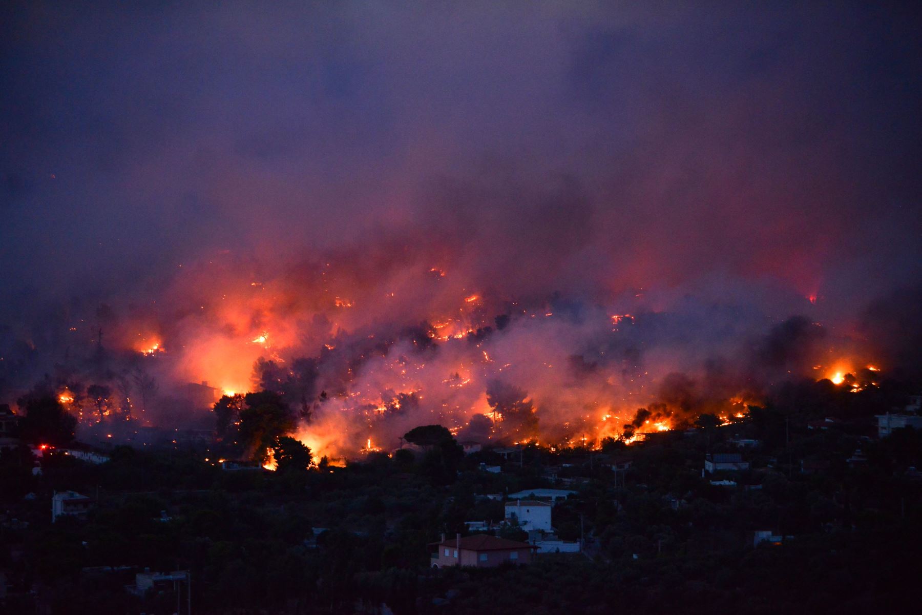 Incendio en la ciudad de Rafina, cerca de Atenas Foto: AFP