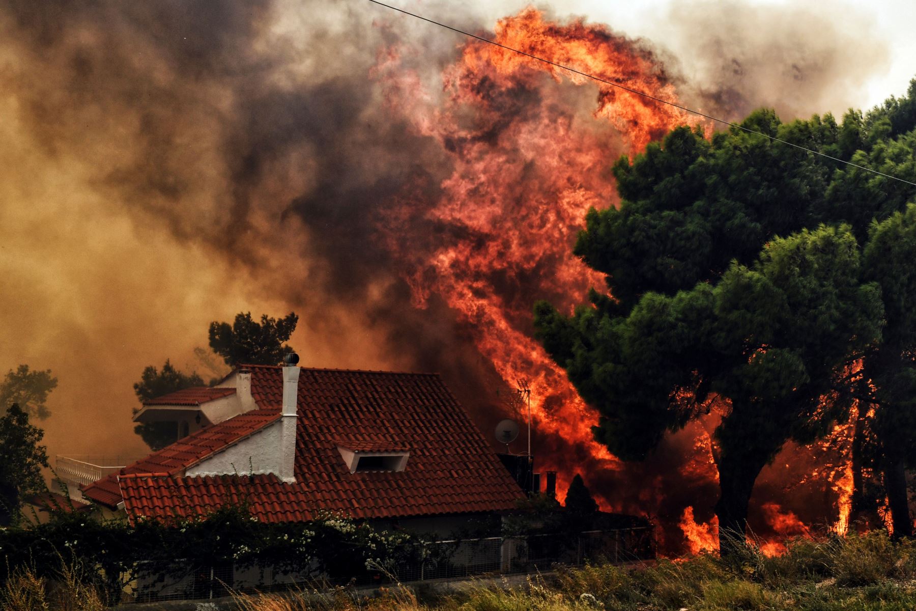 Incendio forestal en la ciudad de Kineta, cerca de Atenas Foto: AFP