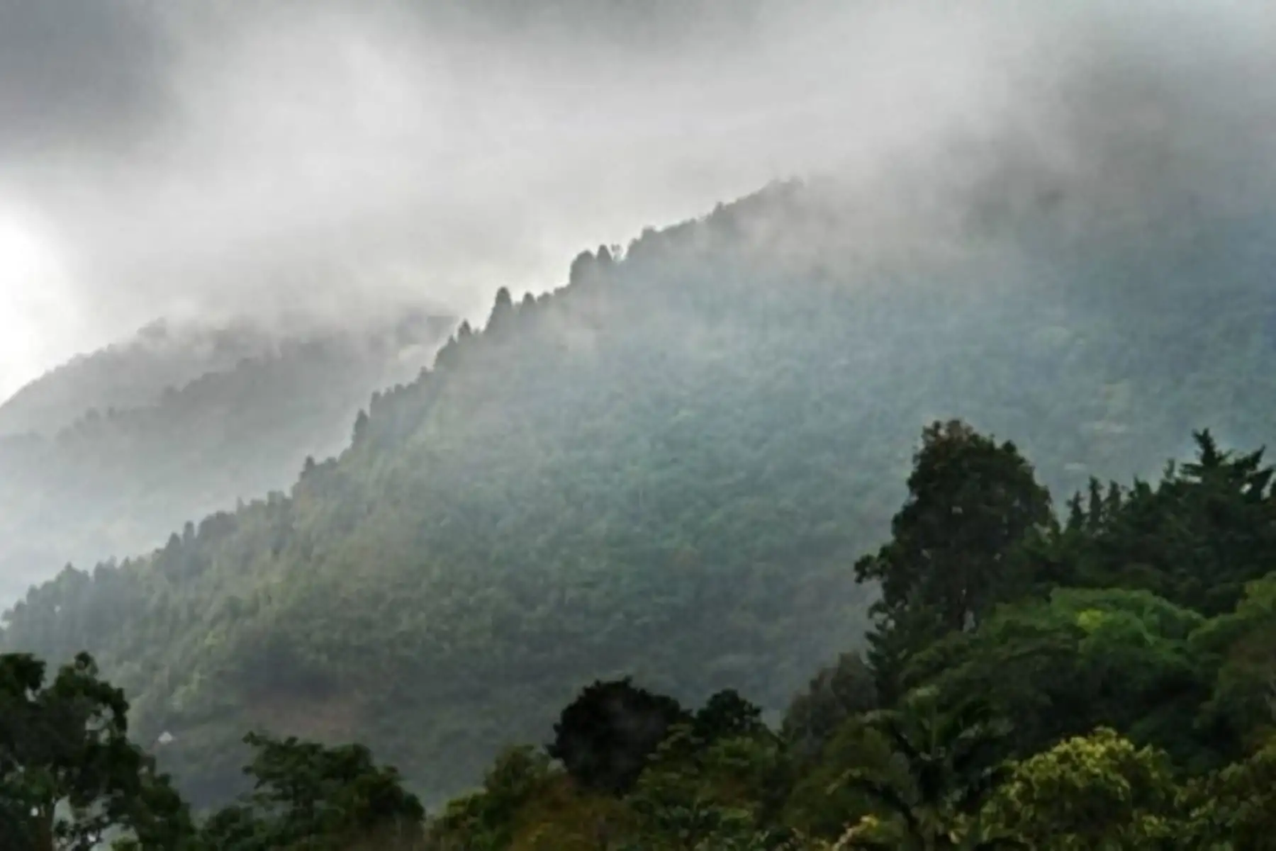 El ingreso del décimo tercer friaje del año a la selva peruana se registrará desde mañana sábado 25 hasta el lunes 27 de agosto y generará descenso de temperaturas en la selva sur hasta los 13 grados Celsius el domingo 26 y el lunes 27; mientras que en la selva central y norte los valores estarán cercanos a los 17 grados Celsius. ANDINA/Difusión