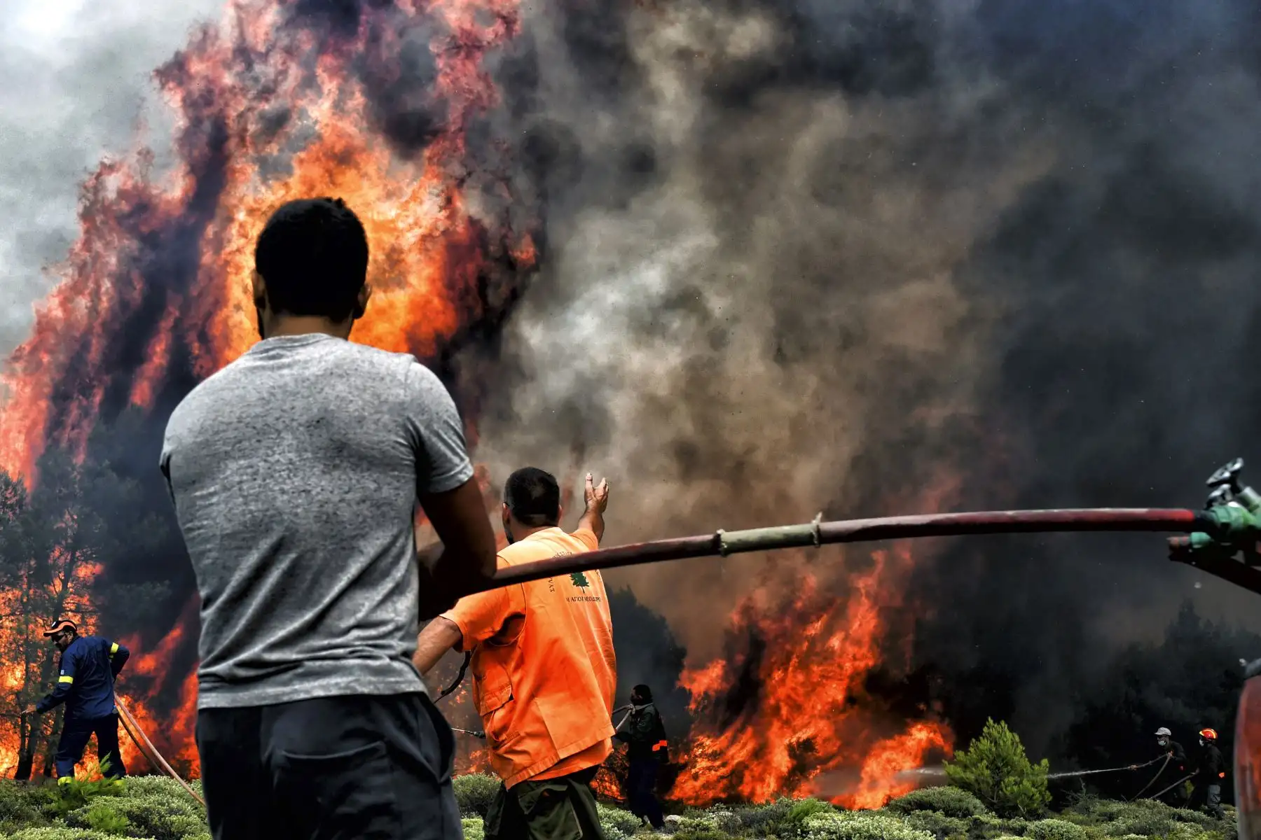 Los bomberos y voluntarios intentan extinguir las llamas durante un incendio forestal en la aldea de Kineta, cerca de Atenas, el 24 de julio de 2018.
Los violentos incendios forestales mataron a 74 personas, entre ellas niños pequeños en Grecia, que devoraban casas y bosques mientras residentes aterrorizados huían al mar para escapar de las llamas, dijeron el martes las autoridades. / AFP