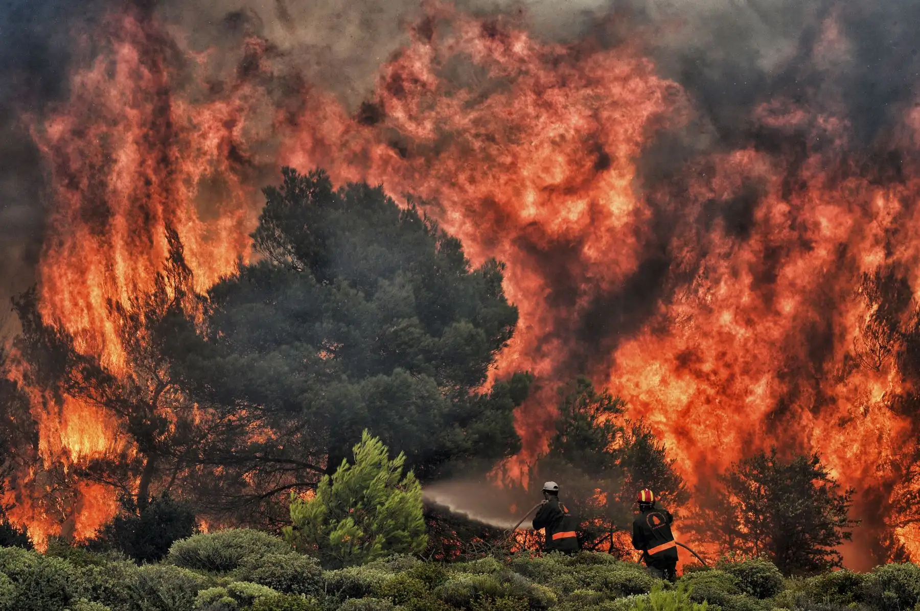 En los violentos incendios forestales murieron decenas de personas, entre ellas niños pequeños en Grecia, que devoraban casas y bosques mientras residentes aterrorizados huían al mar para escapar de las llamas, dijeron el martes las autoridades. / AFP