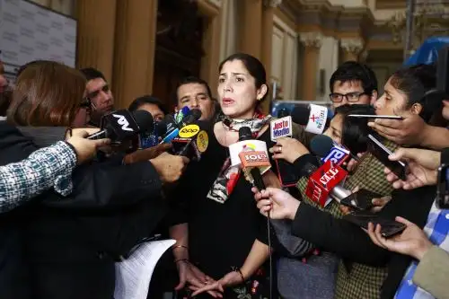 Foto: ANDINA/Eddy Ramos.
