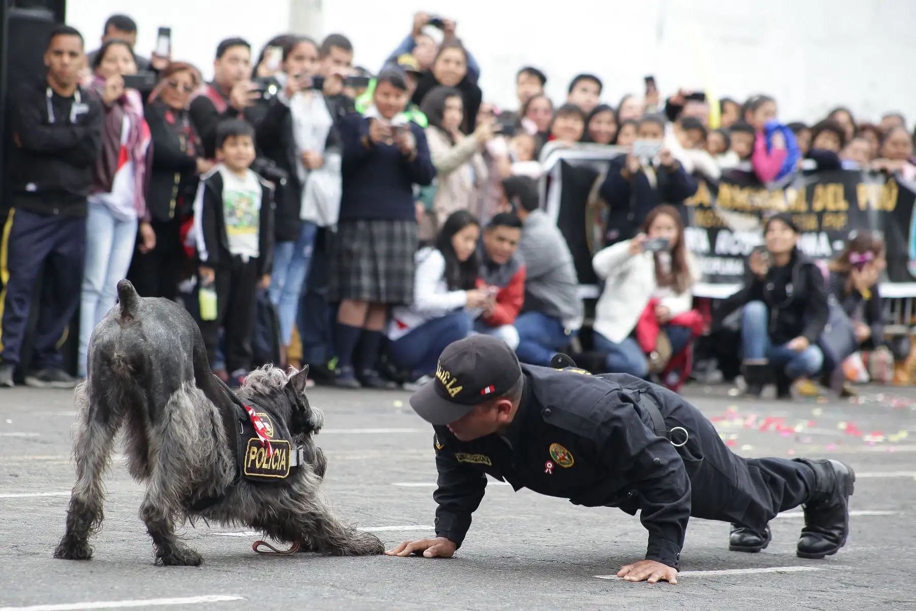 Desfile de colegios policiales 2018.Foto:ANDINA/Héctor Vinces.