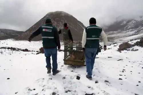 Trabajadores del Serfor.