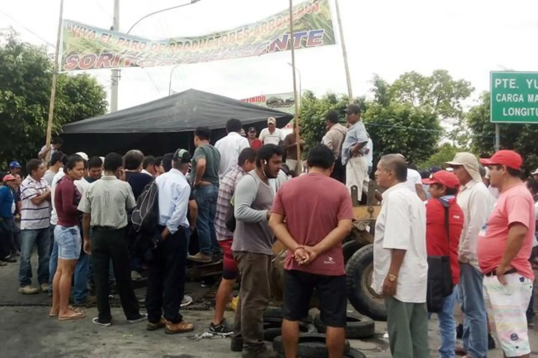 Productores de arroz de San Martín suspenden paro regional. ANDINA