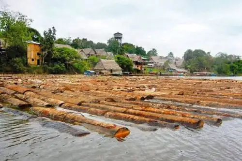Perú verificó legalidad de cargamentos de madera exportada a EE UU. ANDINA