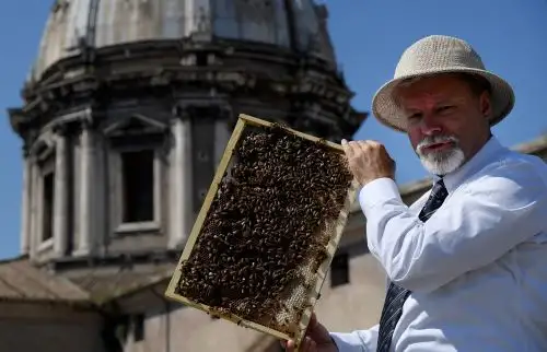 Presidente de la Federación Italiana de Apicultores Raffaele Cirone Foto: AFP