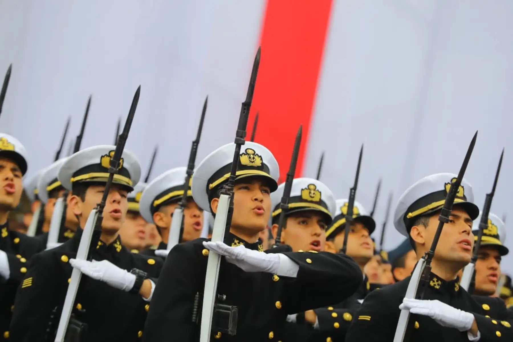 El presidente de la República, Martín Vizcarra, preside   la Gran Parada Militar por Fiestas Patrias. Foto: ANDINA/Prensa Presidencia