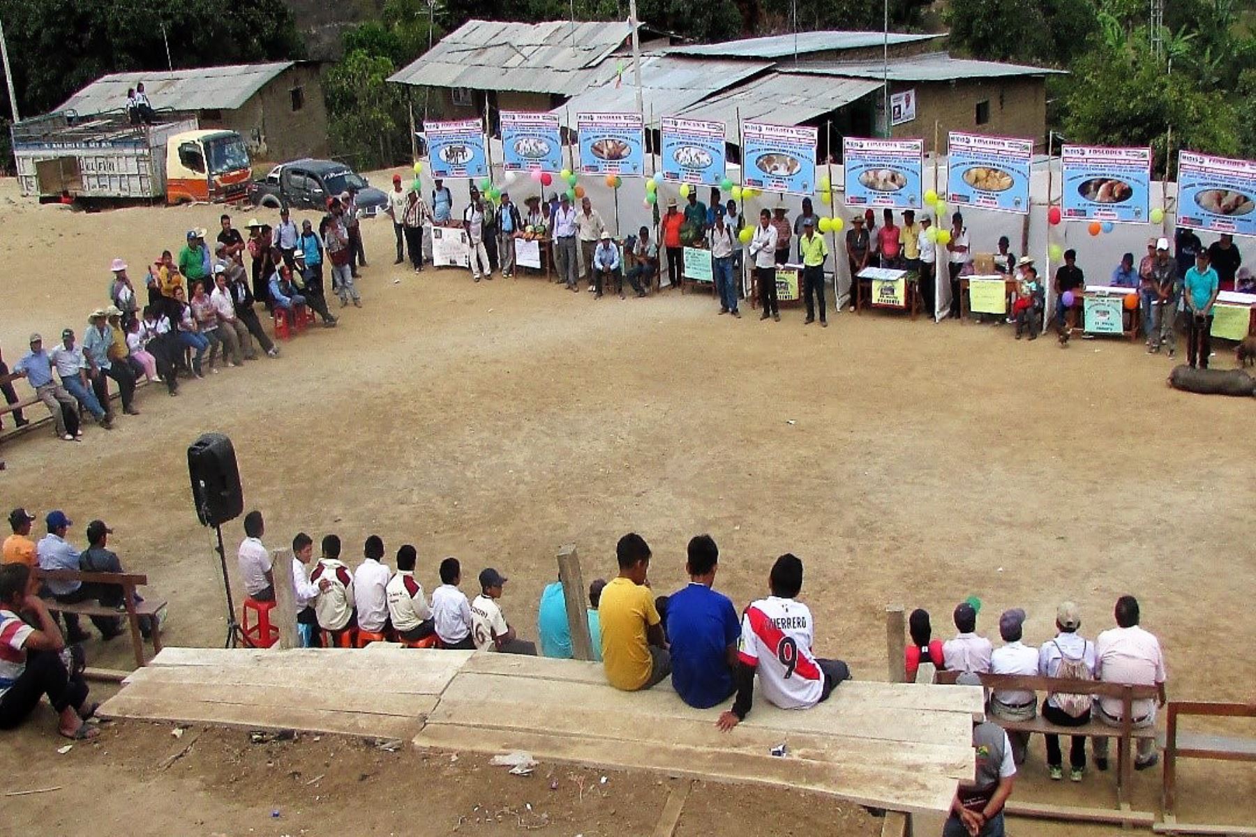 Foncodes impulsa participación de emprendedores rurales en Cajamarca. ANDINA/Difusión