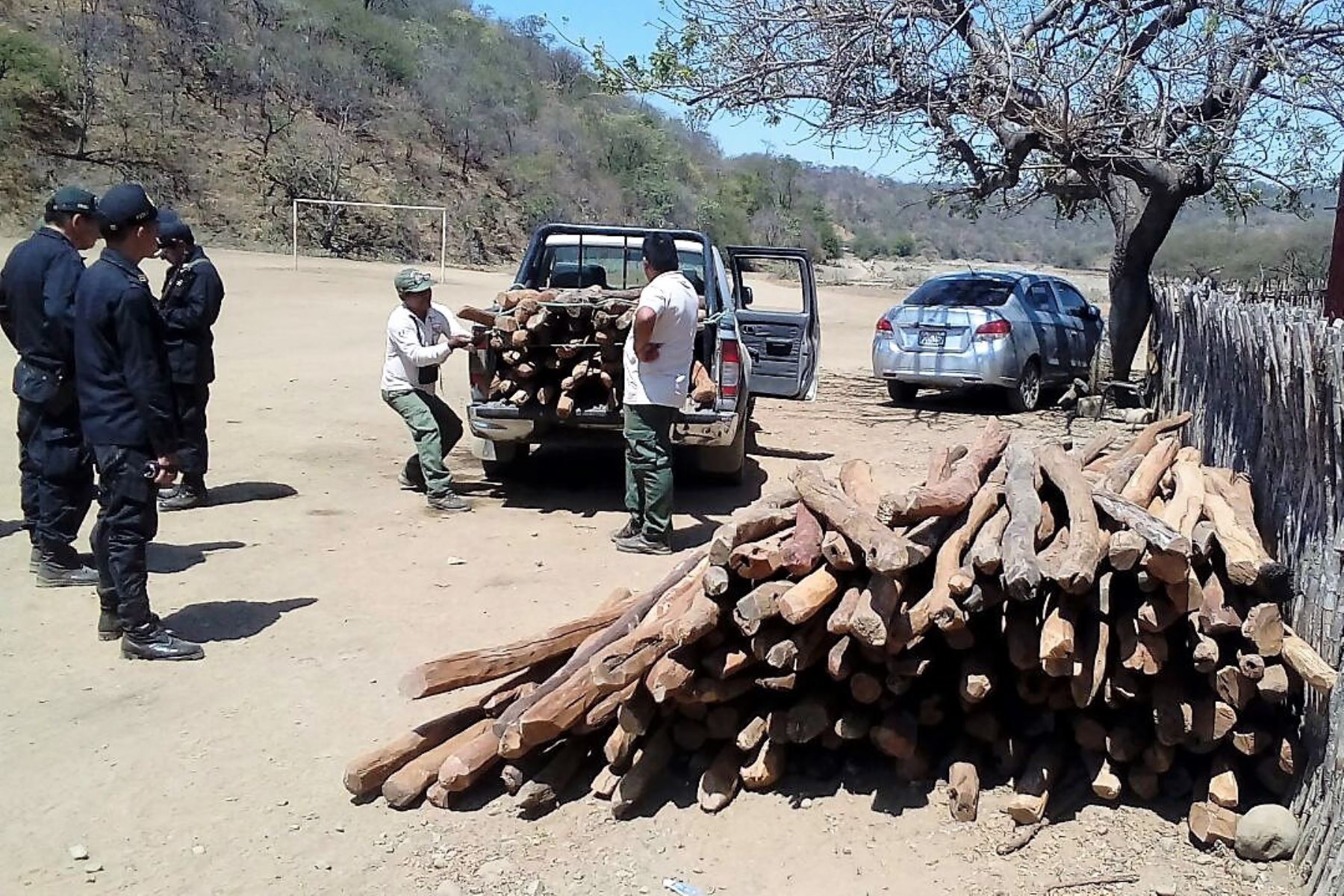 Autoridades detienen tala ilegal en área natural protegida de Tumbes y Piura. ANDINA/Difusión