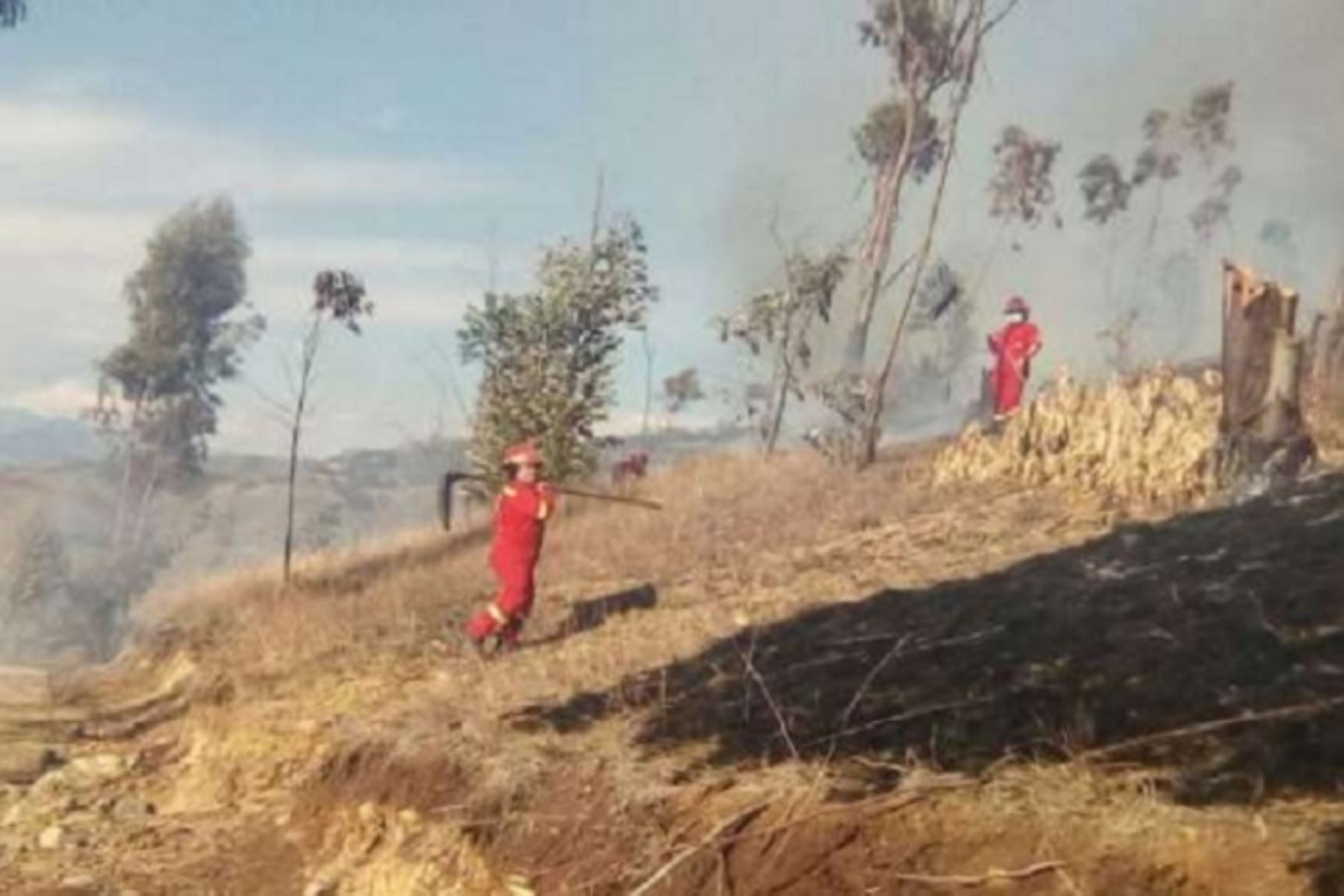 Extinguen incendios forestales registrados en Apurímac Huánuco y Cusco