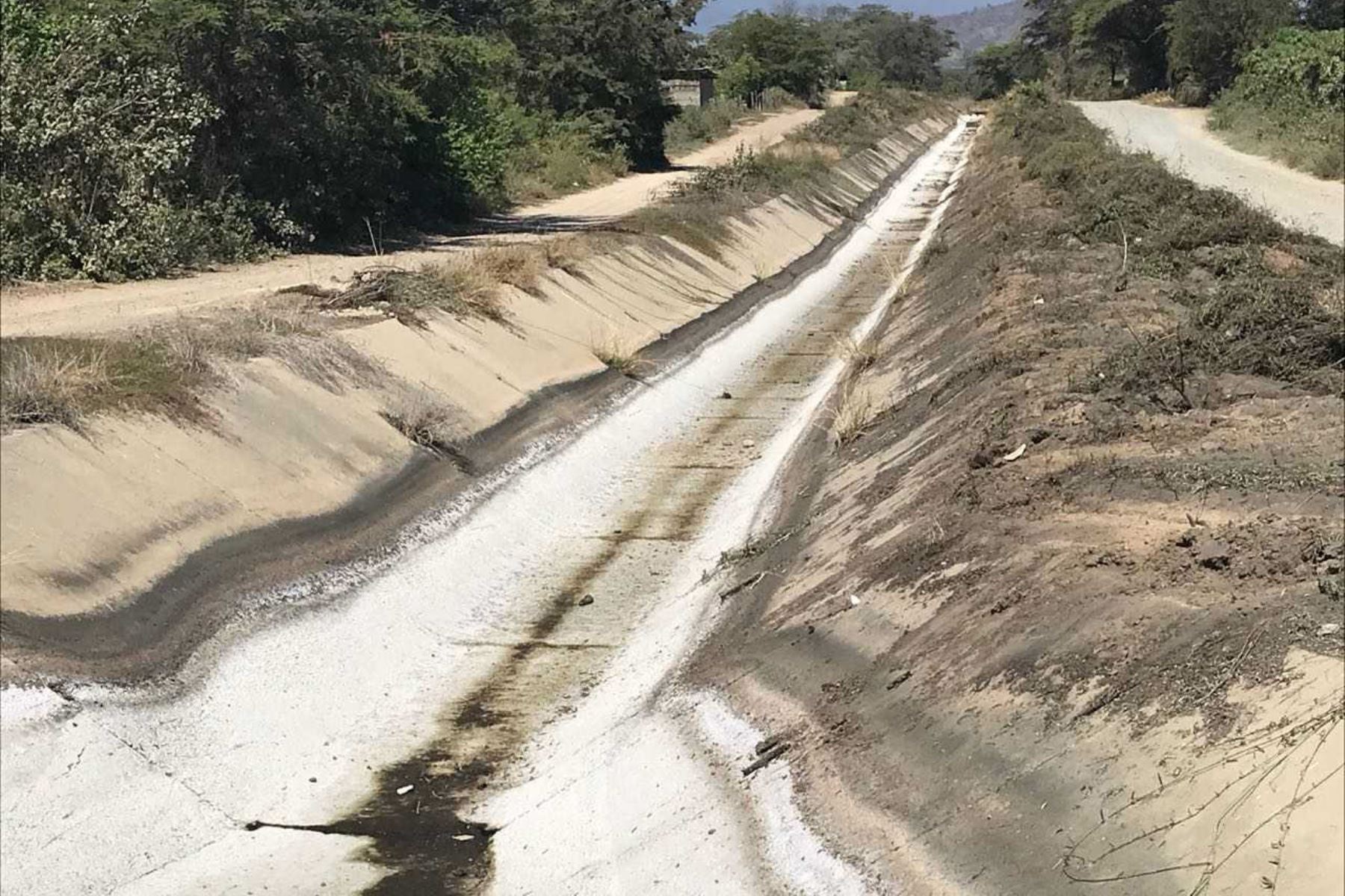 El próximo 15 de agosto concluirá la limpieza y extracción de lodo, piedras y maleza de 26 kilómetros del canal Tambo Grande, que forma parte del sistema de irrigación San Lorenzo, uno de los más importantes de la región Piura.