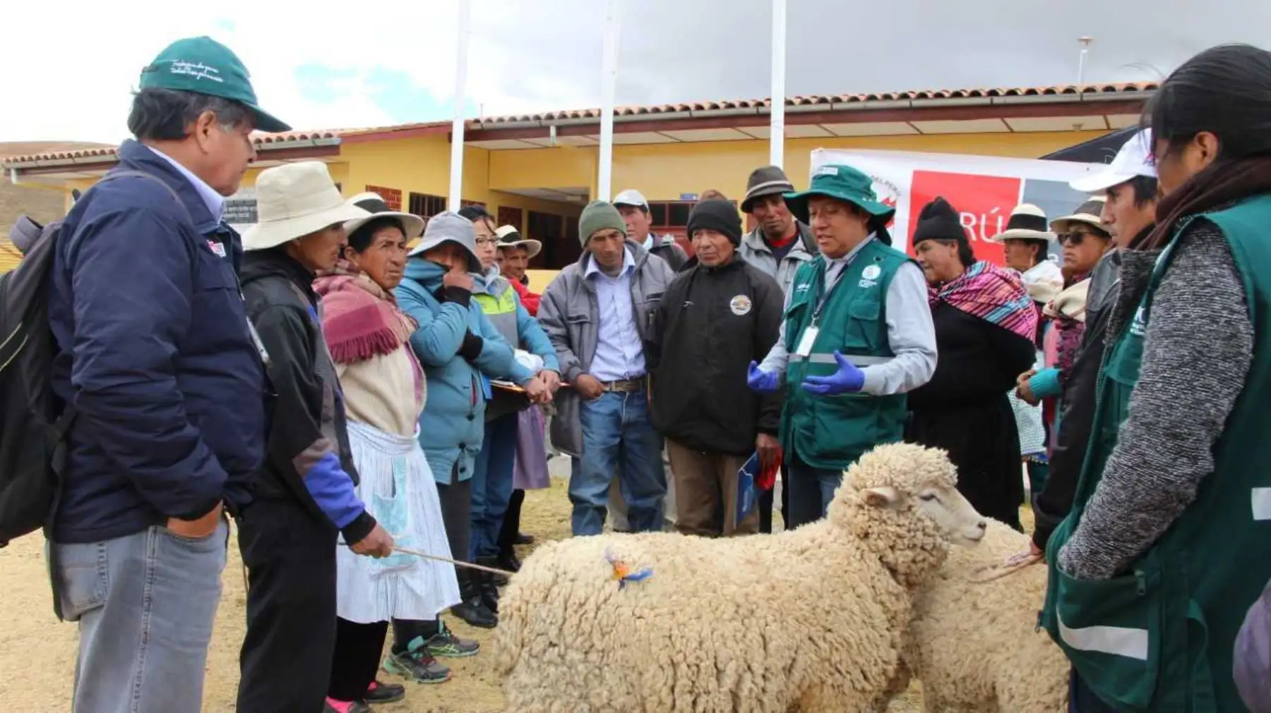 Más de 3,000 habitantes de comunidades campesinas ubicadas en las zonas altoandinas de la provincia de Jauja, región Junín, reciben ayuda del Ejecutivo, a través del Ministerio de Agricultura y Riego (Minagri), frente al descenso de las temperaturas y las intensas heladas que azotan esa parte del país.