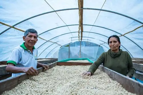 Minagri invertirá S/ 14.2 millones para ejecutar proyectos de innovación agraria. ANDINA/Difusión