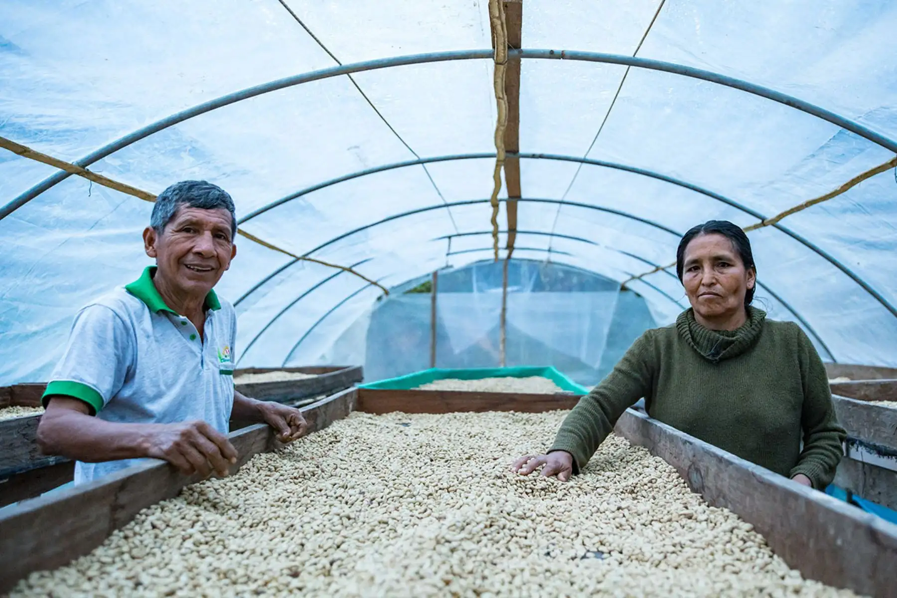 Minagri invertirá S/ 14.2 millones para ejecutar proyectos de innovación agraria. ANDINA/Difusión