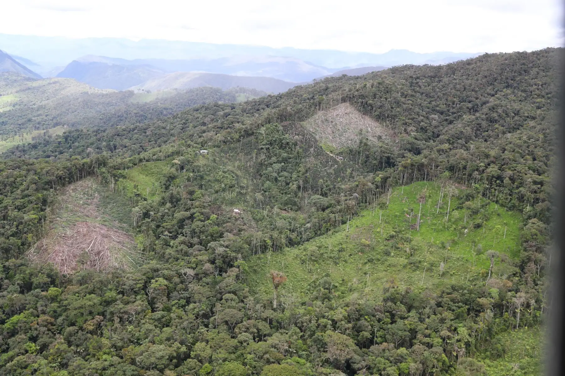 Fuerzas Armadas apoyarán a la Policía Nacional en protección del Bosque.Foto:ANDINA/MINDEF