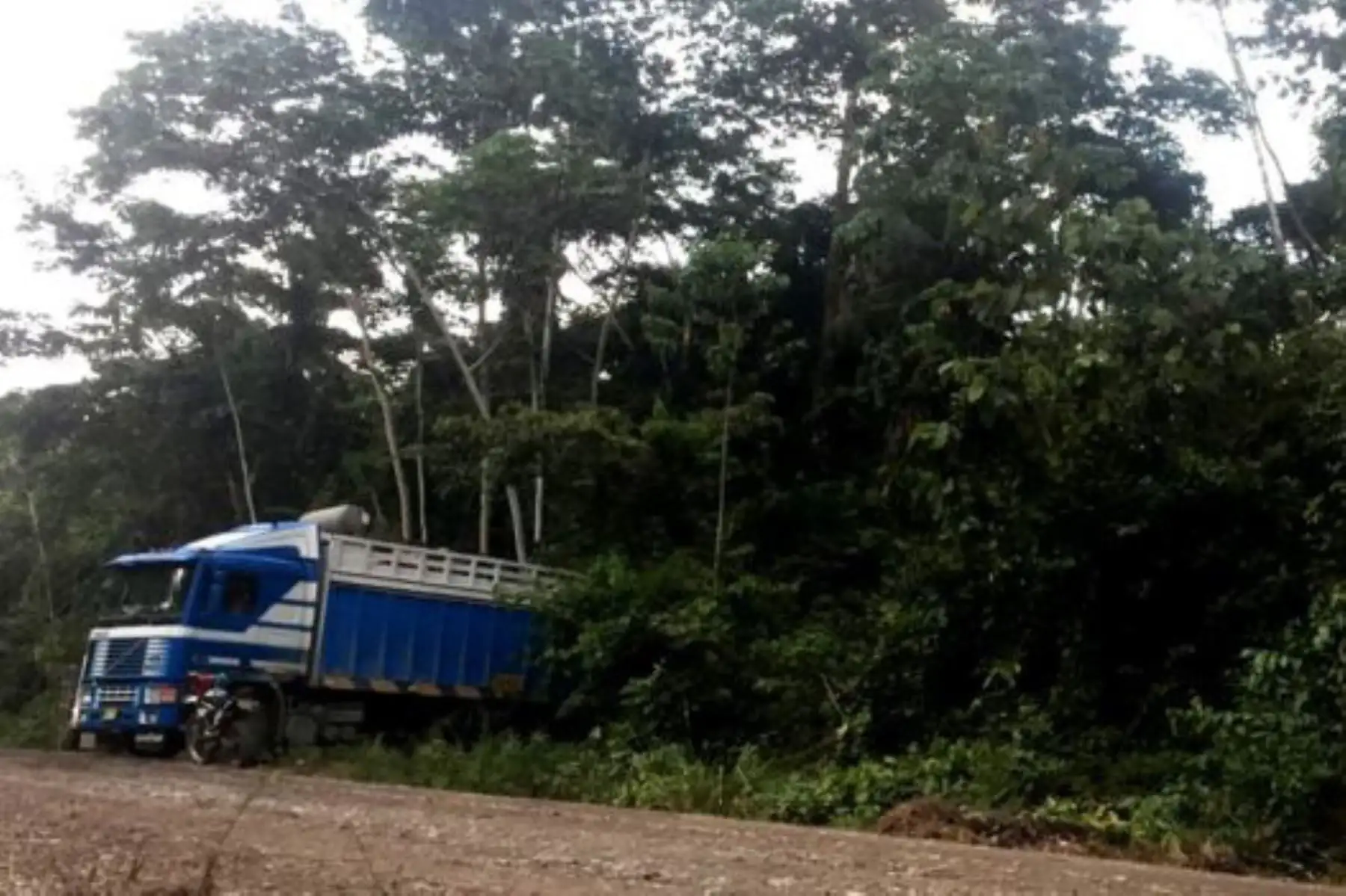 La carretera que cambió la vida a una zona remota de Madre de Dios. Foto: BBC Mundo.