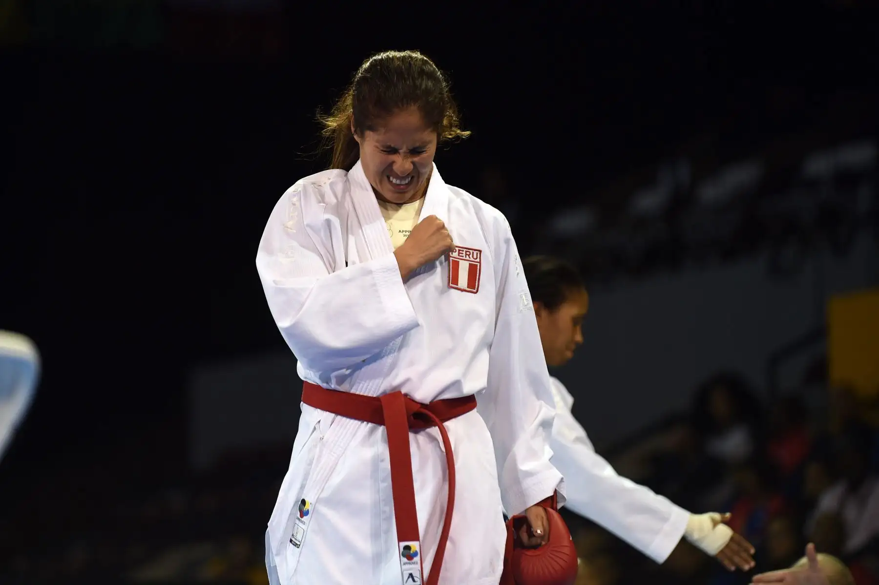 Alexandra Grande durante la final de Karate femenino -61kg en los Juegos Panamericanos en Canada donde  ganó la medalla de el oro. AFP