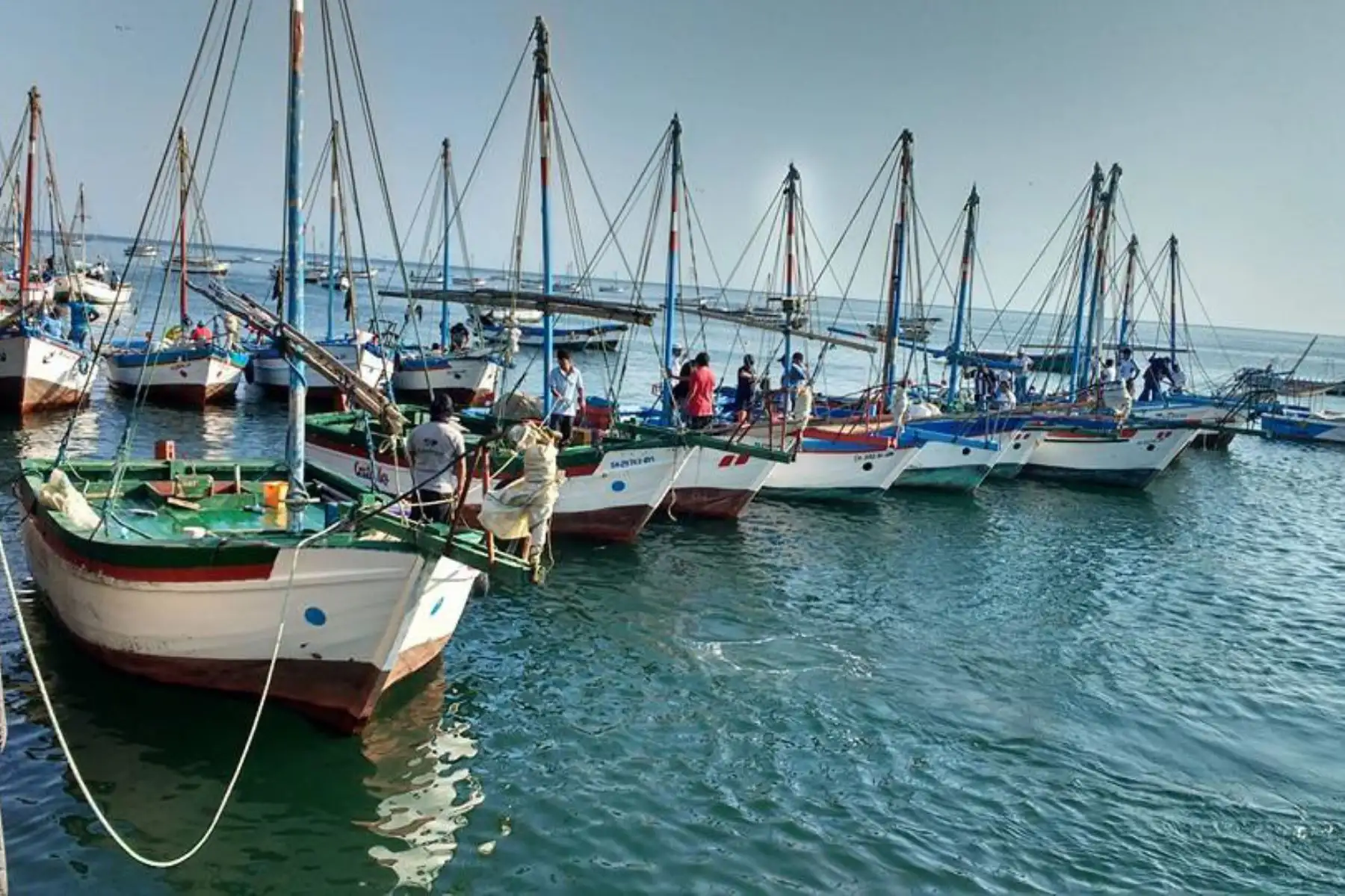 Foto: ANDINA/Difusión.